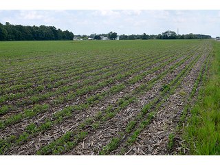Property photo 14 - LAND AUCTION - 700+/- ACRES OFFERED IN 16 TRACTS IN ALLEN COUNTY, INDIANA